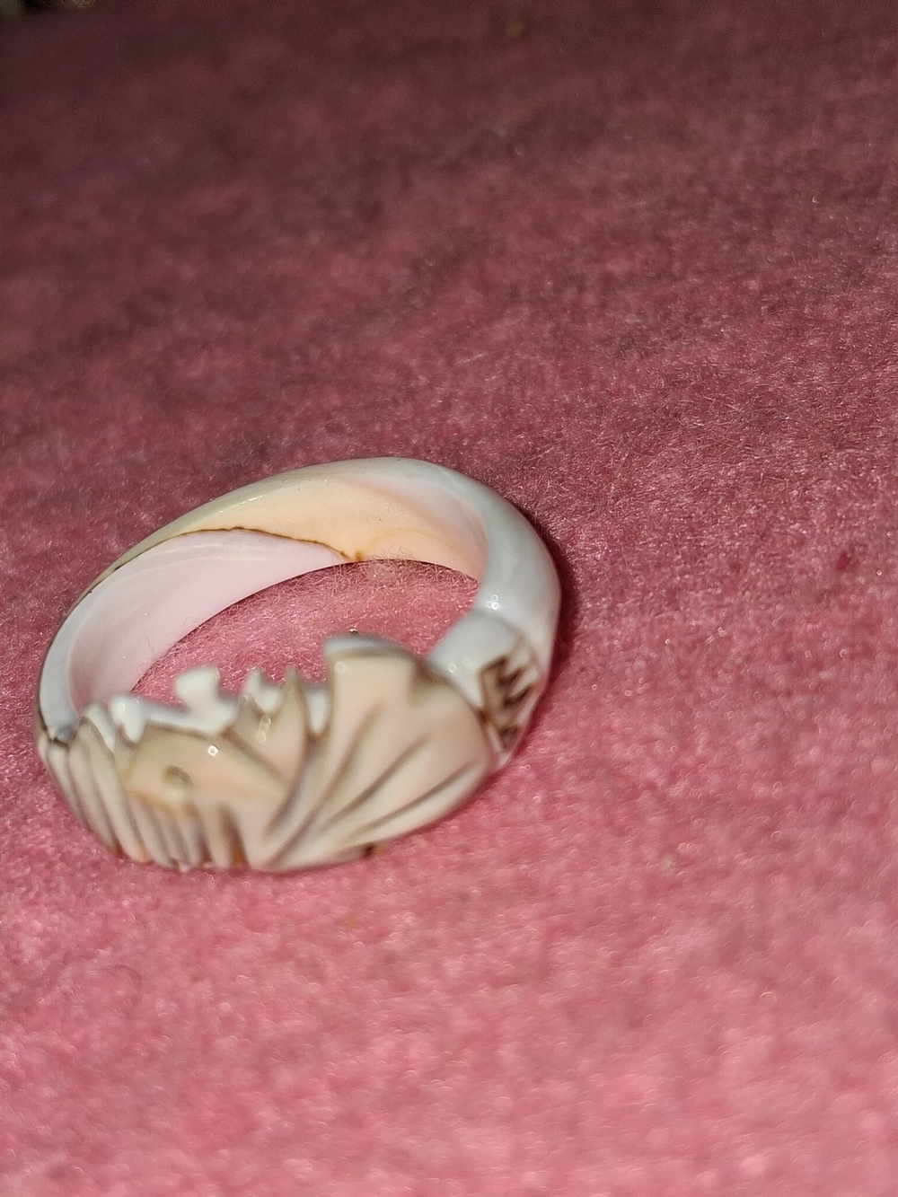 Source Unknown Carved Shell Ring in White and Cream